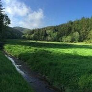 Meet your Posher, Christy